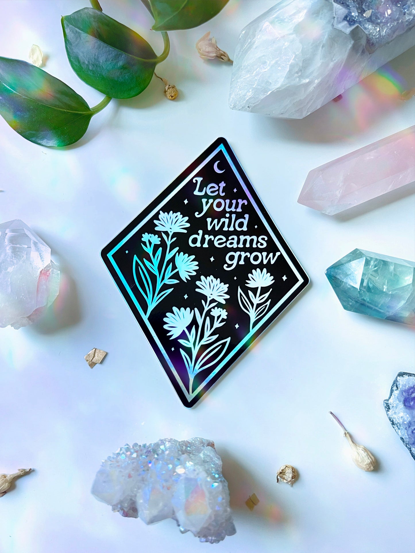 Let Your Wild Dreams Grow holographic sticker